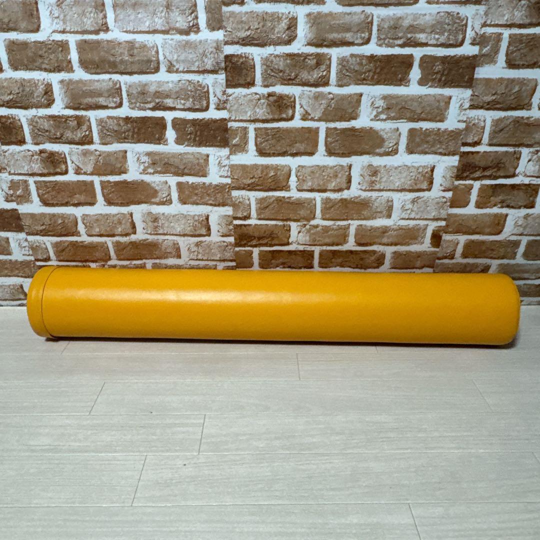 StretchPole ストレッチポール LPN正規品　エクササイズ