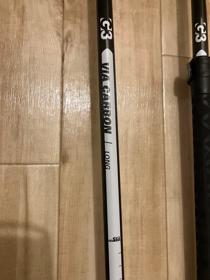G3 VIA CARBON (ヴィアカーボン) Long スキーポール