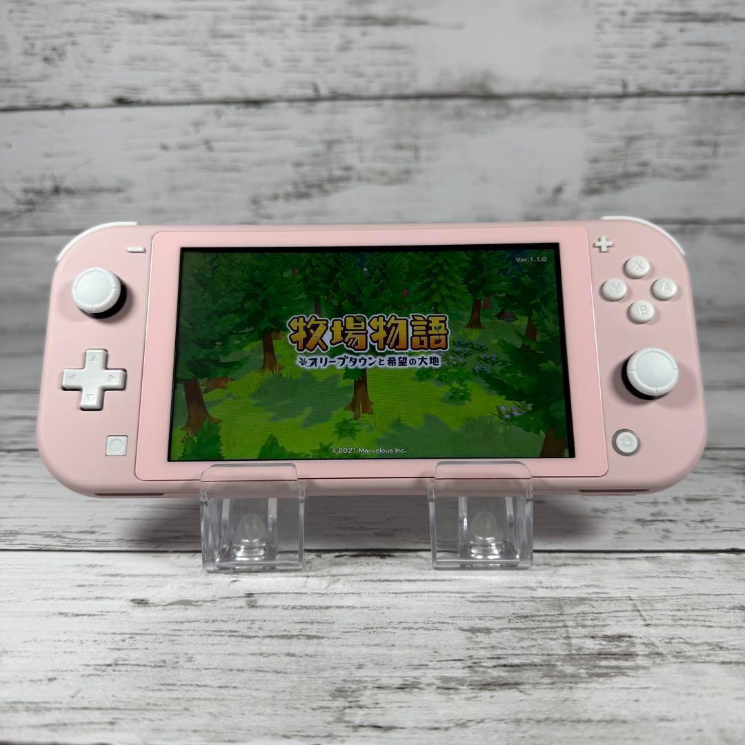 Nintendo Switch Lite カスタム品 eXtremeRate