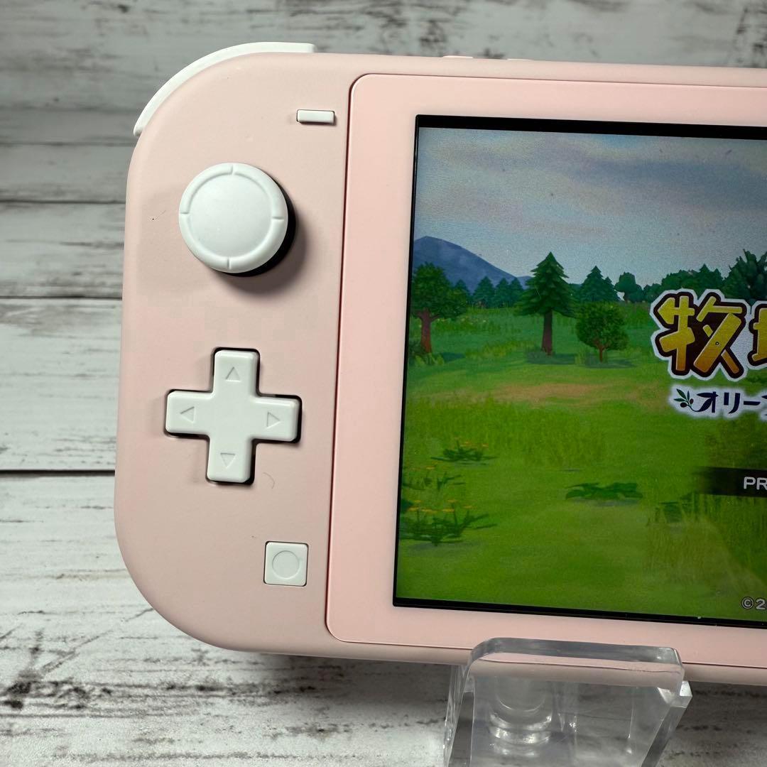 Nintendo Switch Lite カスタム品 eXtremeRate