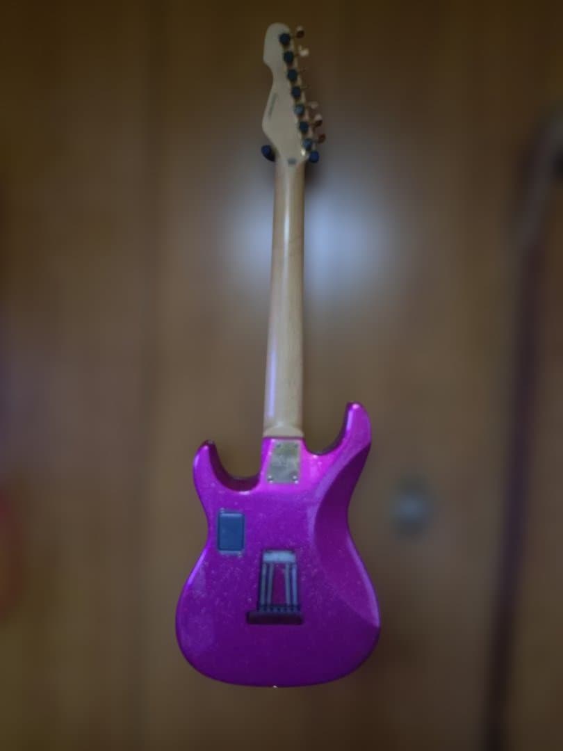 7弦エレキギターEDWARDS E-SN7-210TO【大村孝佳モデル】