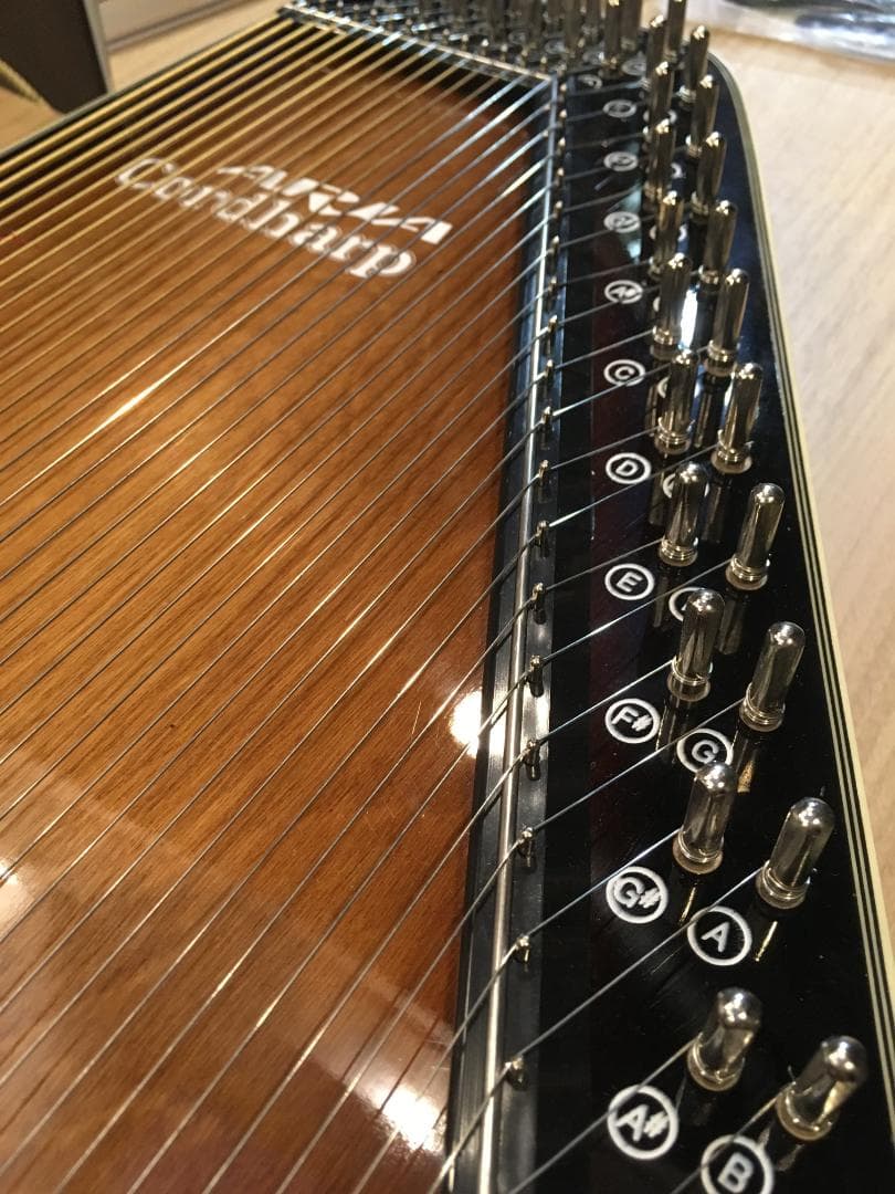 アリア コードハープ ACH-21E