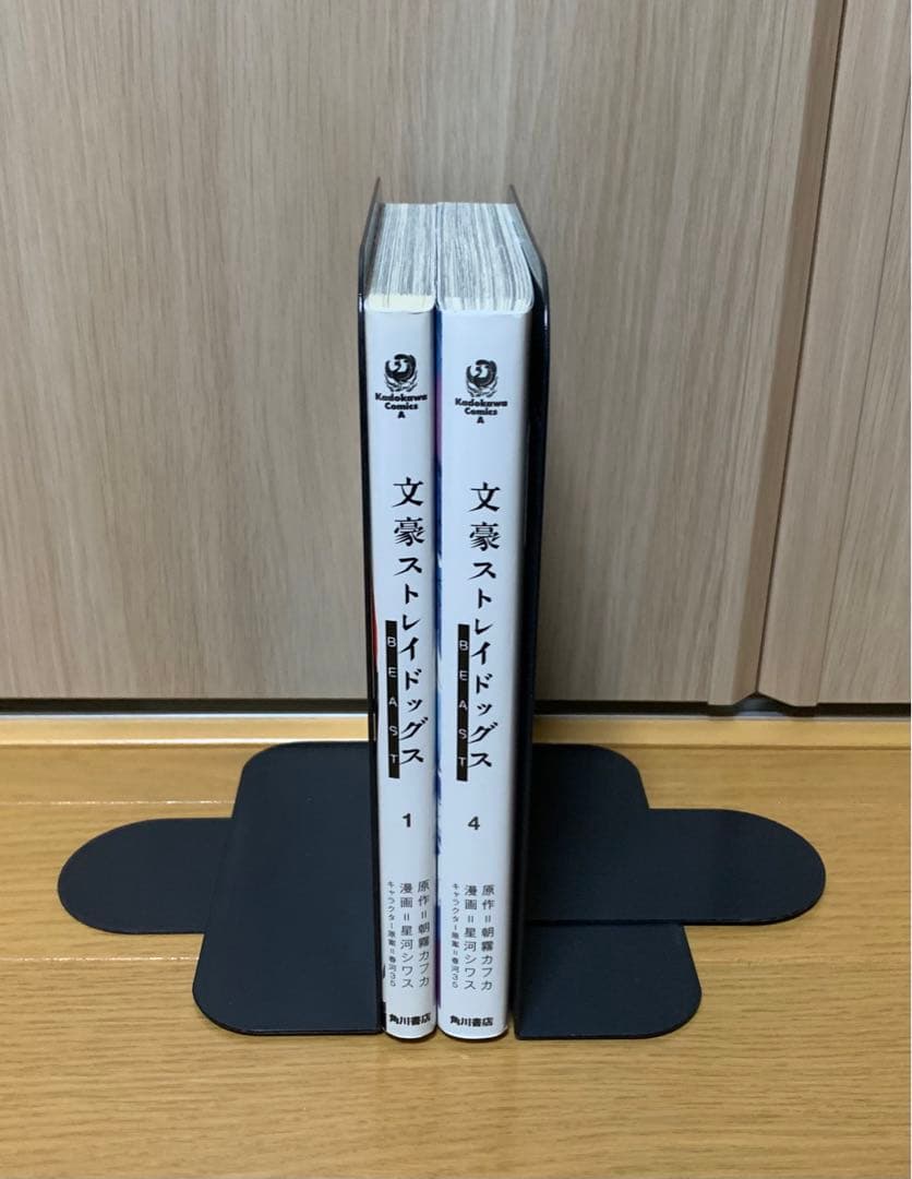 文豪ストレイドッグス 1-22巻・他12冊