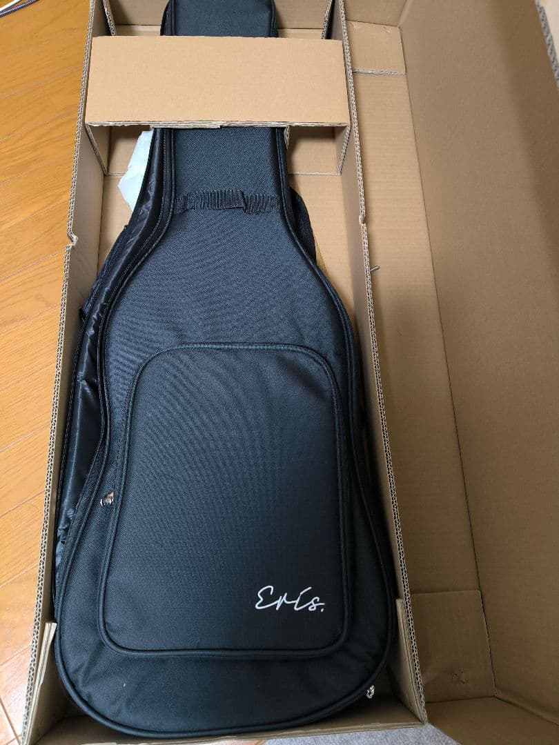 [美品]Eris. Nestia エレキギター　抹茶