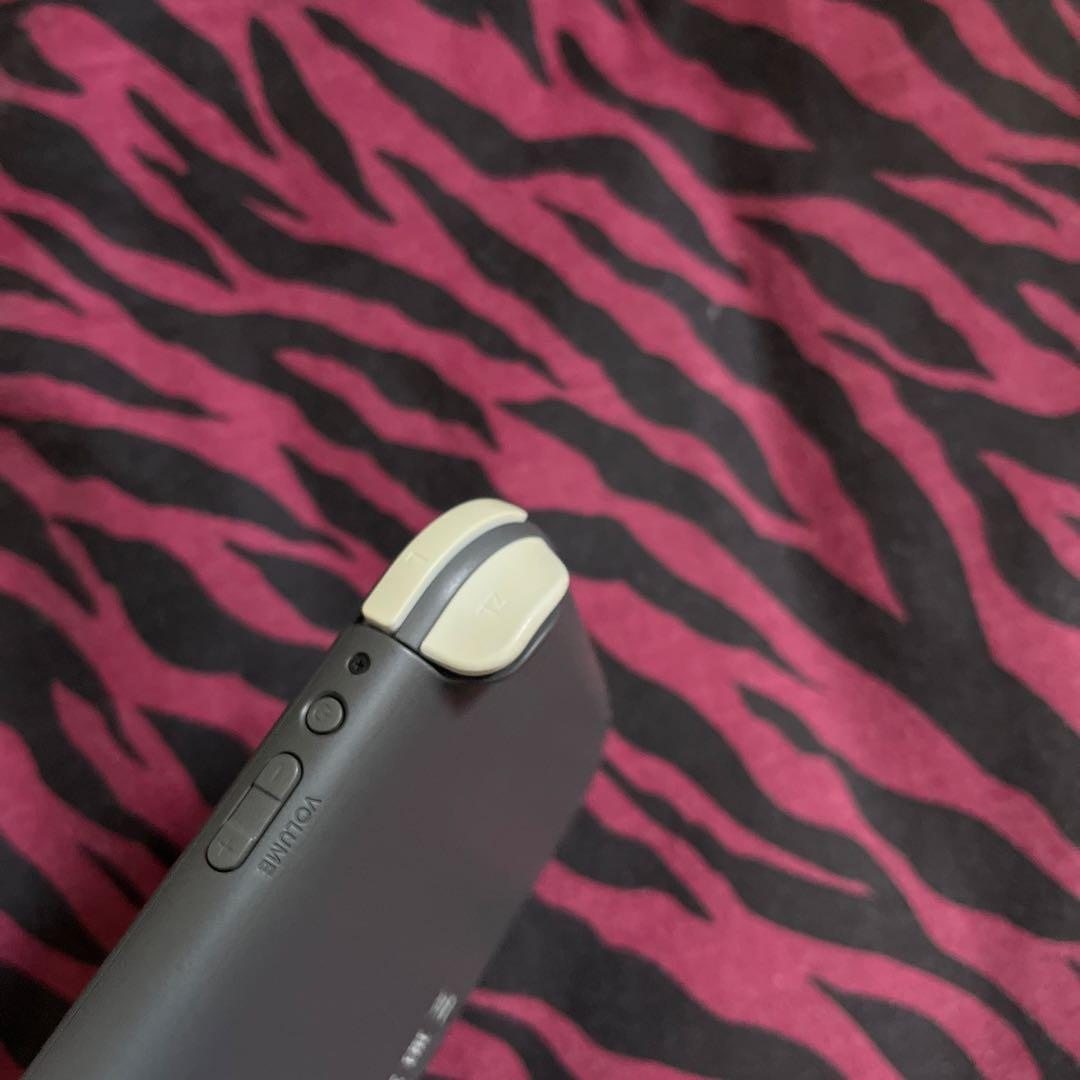 Switchライト グレー 純正充電器 ケース どうぶつの森付き 箱無し