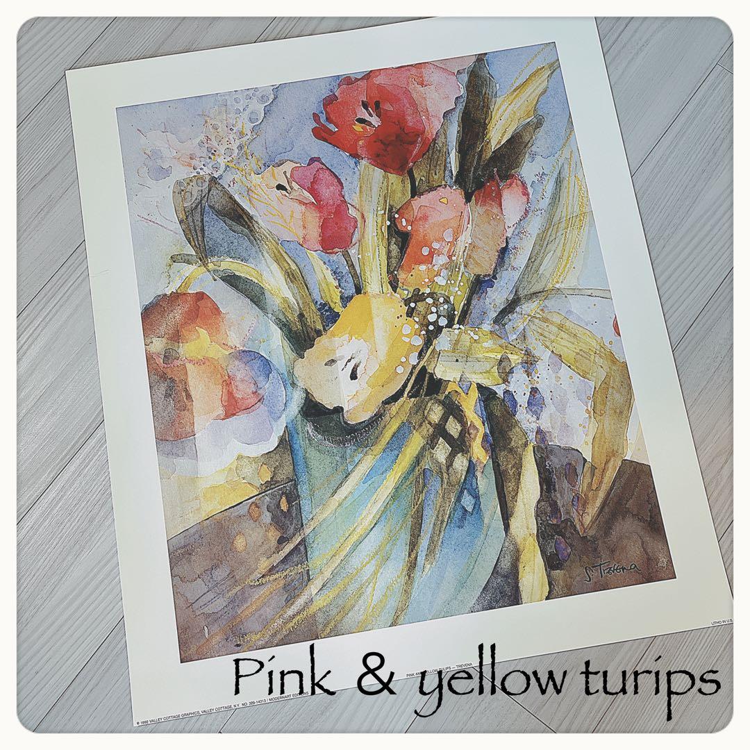 Shirley Trevena イギリス　花とフルーツ水彩画プリント　4枚セット