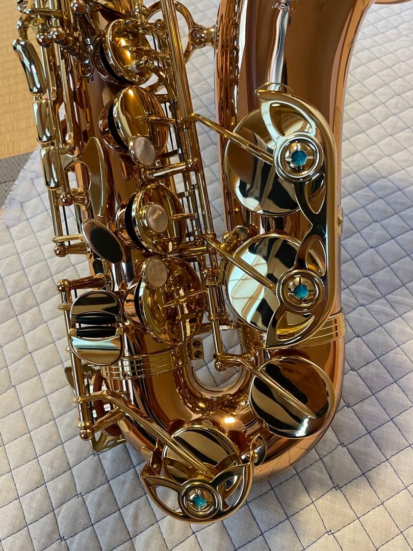 ヤナギサワ　アルトサックスA-WO2 2024年購入品