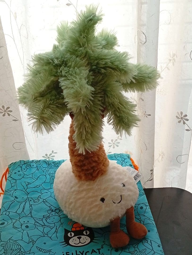  Pammie Palm Treeジェリーキャット植物　ヤシの木