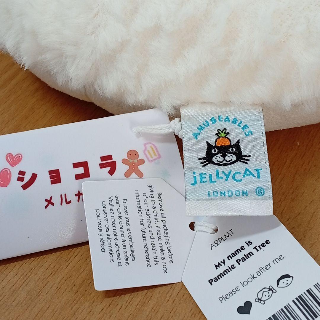  Pammie Palm Treeジェリーキャット植物　ヤシの木