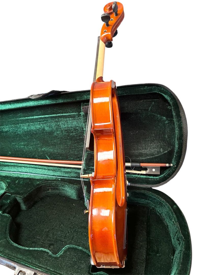 【美品】hallstatt ハルシュタット エレキバイオリン CV-210E