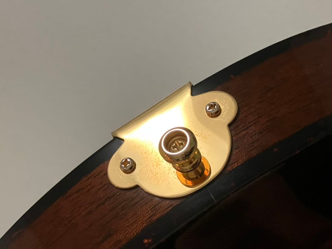 ロゼオ ギター Rozeo Ladybug フルアコースティック 美品