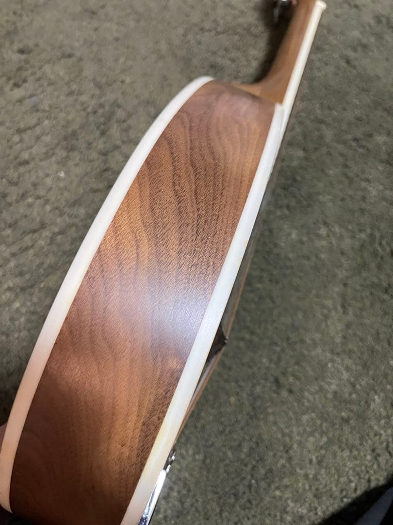 【英国購入】Blue Moon GR3120 マンドリン Aスタイル ケース付