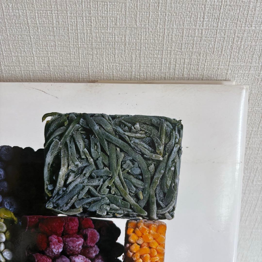 Still Life Irving Penn アーヴィングペン 写真集