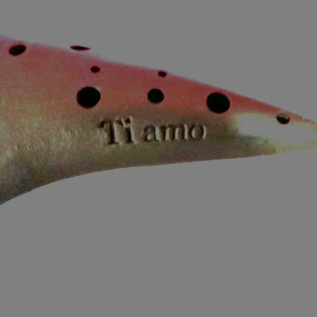 Tiamo 黒いオカリナ 三角形★ケース付き