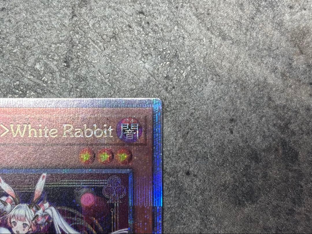 【美品】マリス　ホワイトラビット　 M∀LICE<P>White Rabbit