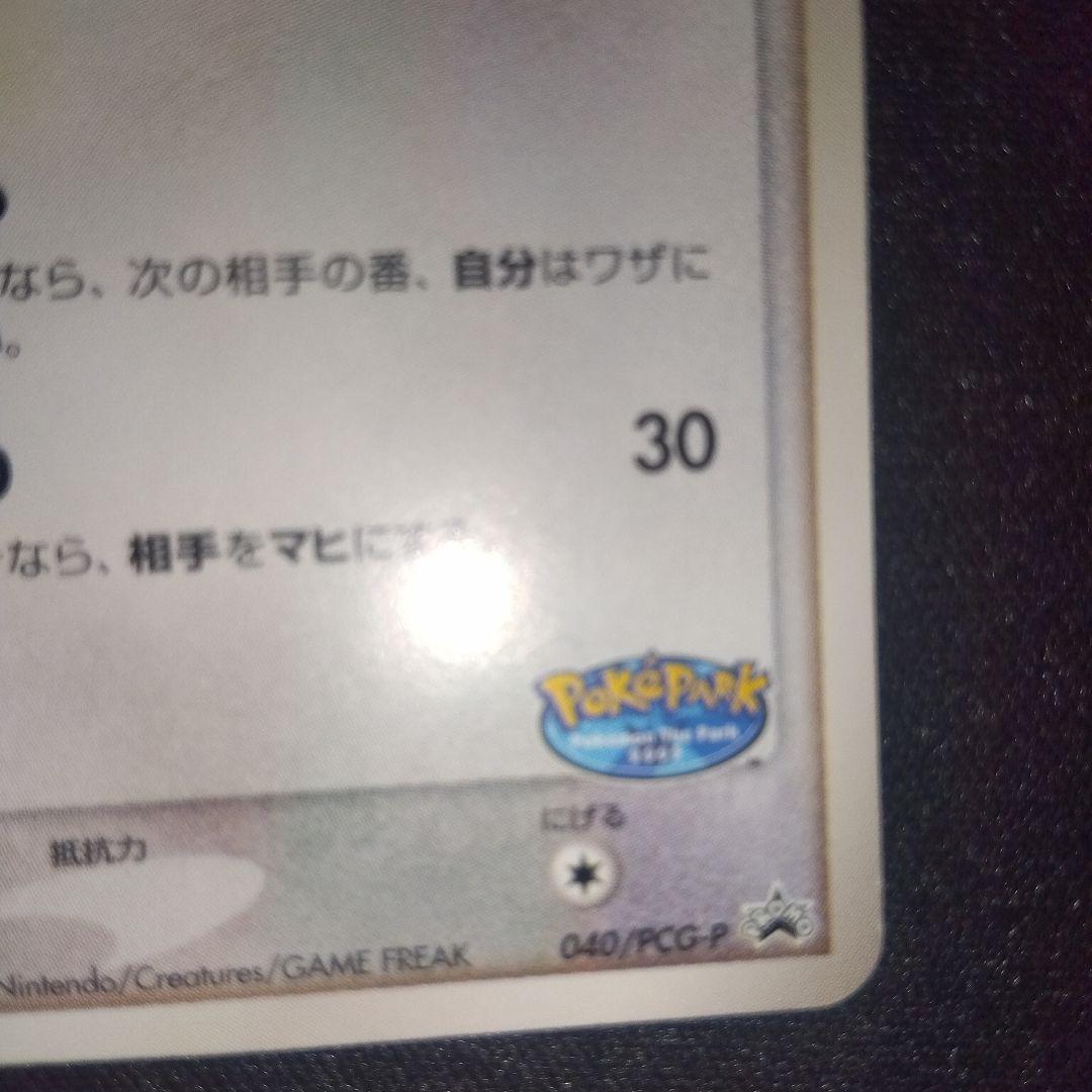 ポケパーク　グラードン　ゴンベ　ピカチュウ