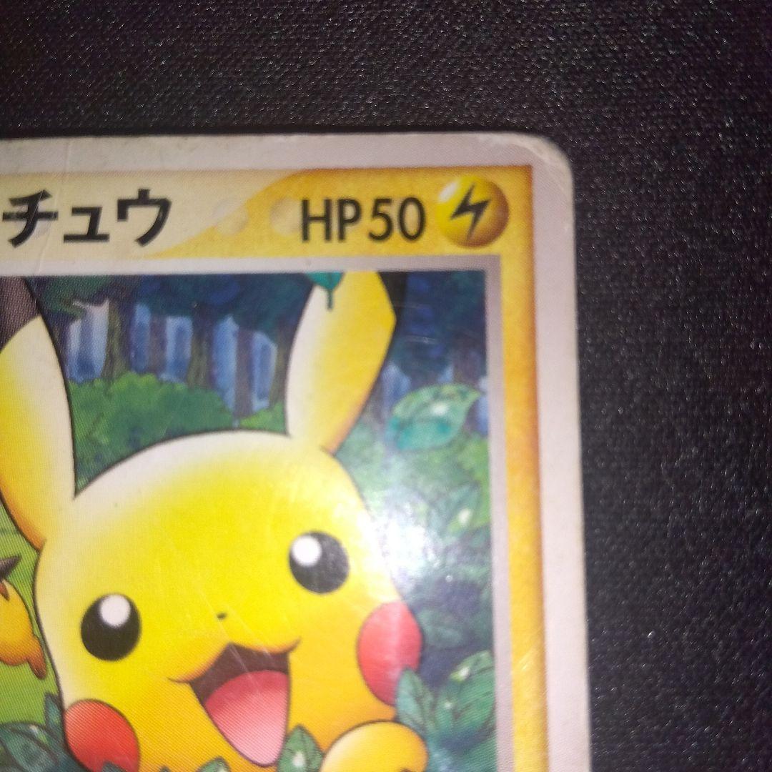 ポケパーク　グラードン　ゴンベ　ピカチュウ