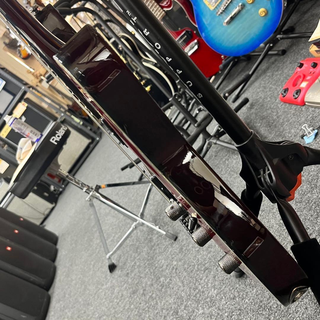 【11054】Schecter DIAMOND SERIES