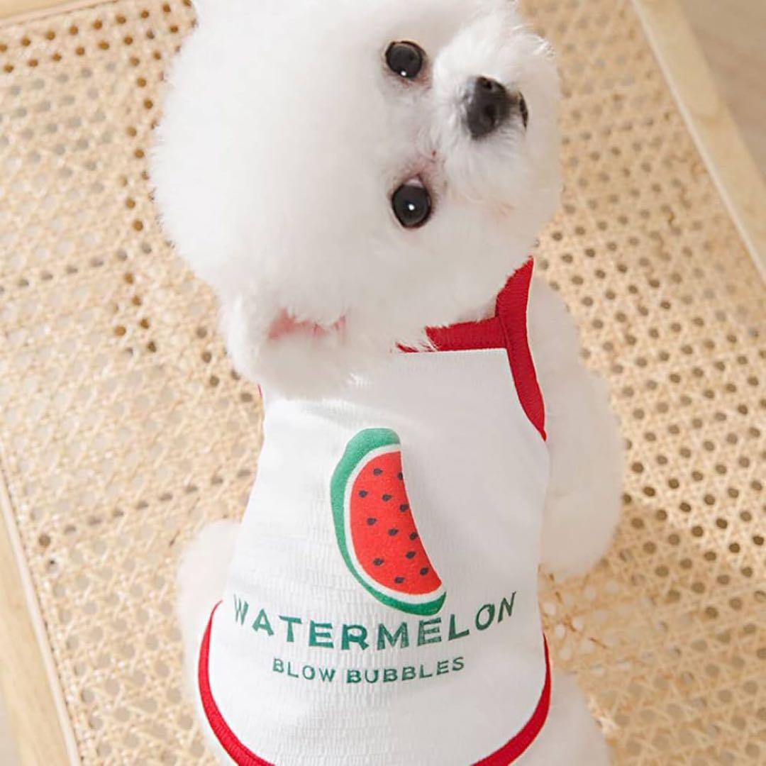 ❤️１点限り❤️スイカプリント犬用タンクトップ　Lサイズ