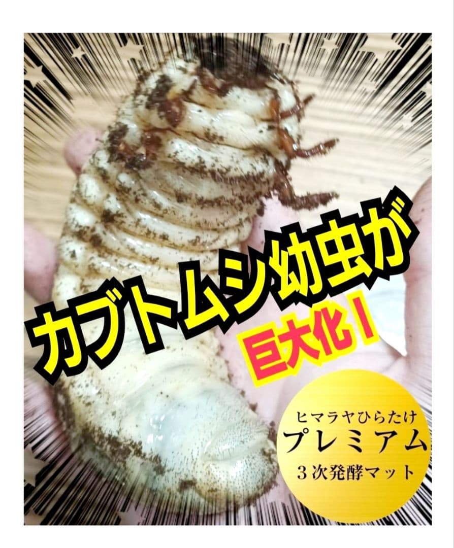 ヘラクレス幼虫が大きくなる！プレミアム3次発酵カブトムシマット【60リットル】