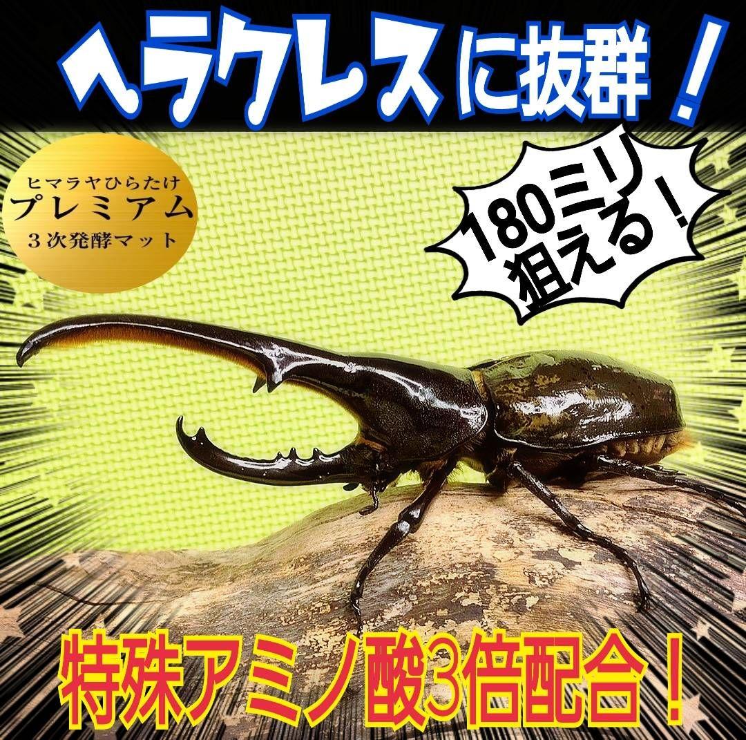 ヘラクレス幼虫が大きくなる！プレミアム3次発酵カブトムシマット【60リットル】
