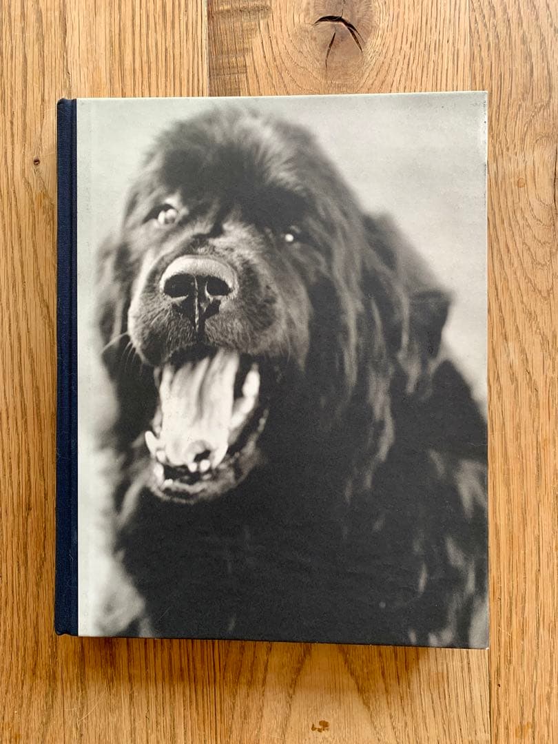 アート・デザイン・音楽 Bruce Weber / GENTLE GIANTS