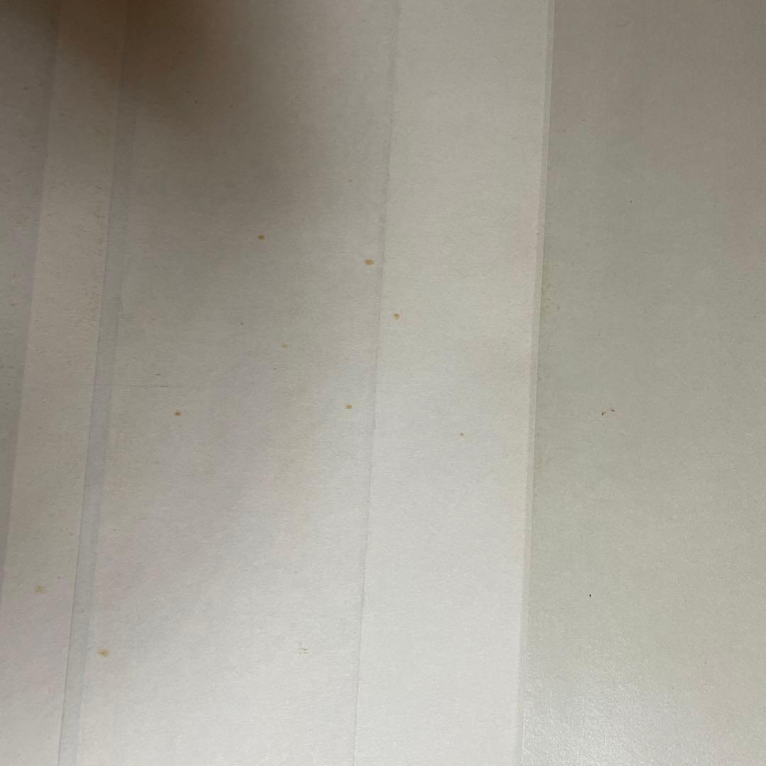 レオマミーです‼️ エクセルヒューマン掛け軸２点（猛虎と瑞祥大昇鯉）