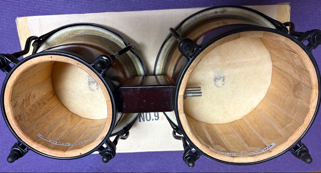 TOCA ボンゴ