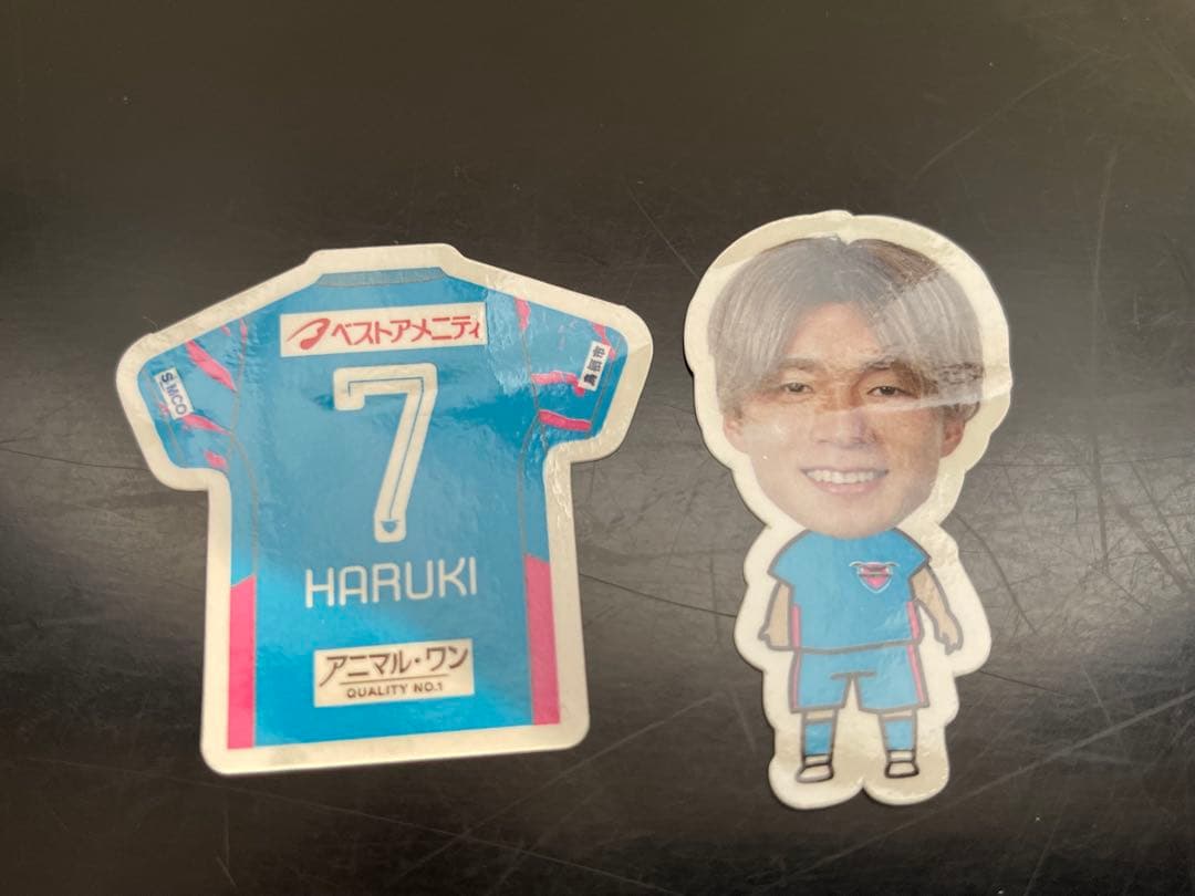 サガン鳥栖 新井晴樹 グッズ