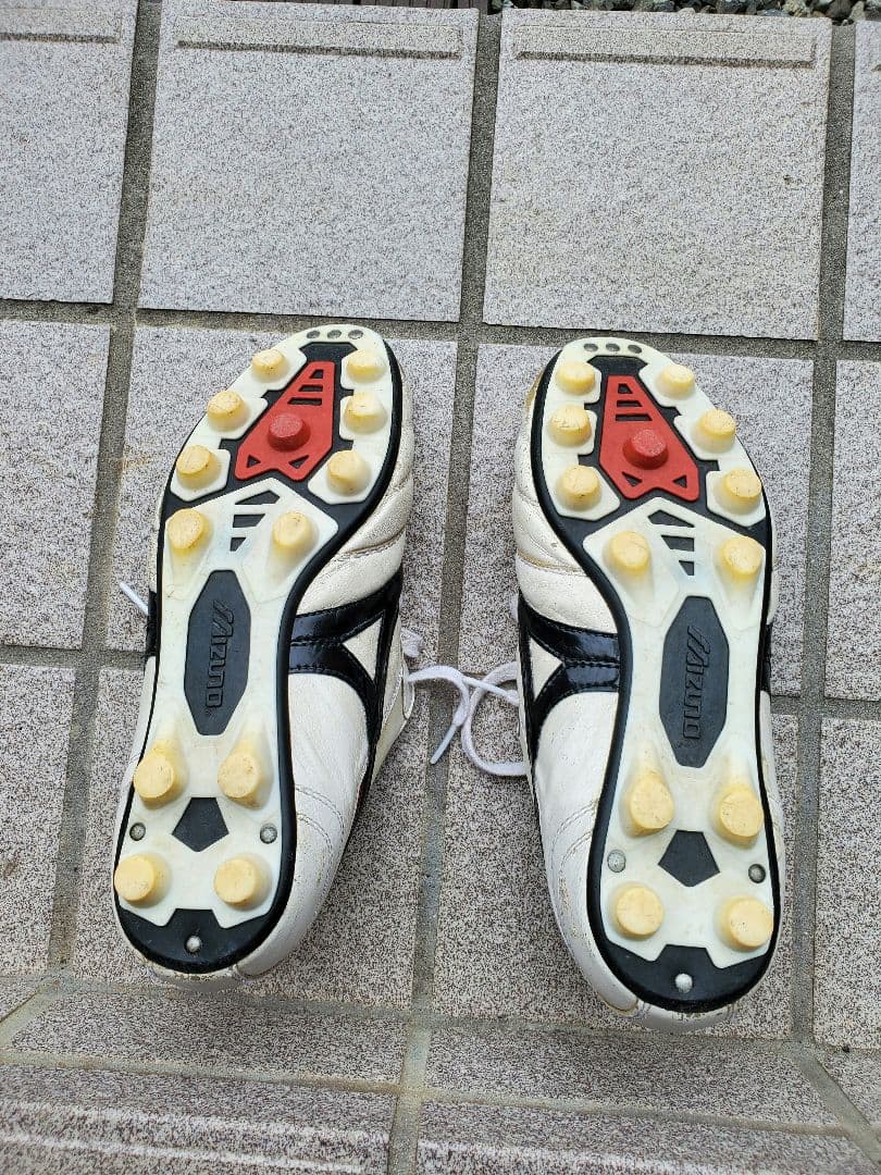 モレリア　イージーオーダー
