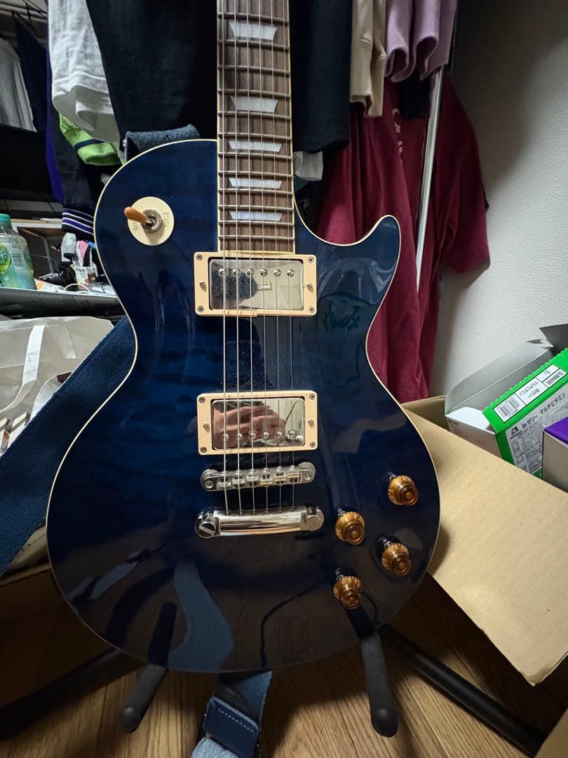 [今月末まで] Tokai LS-101Q IB