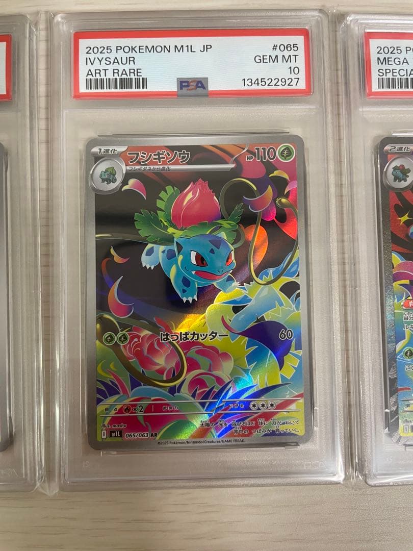 【PSA10連番】メガフシギバナex_SAR 進化ライン