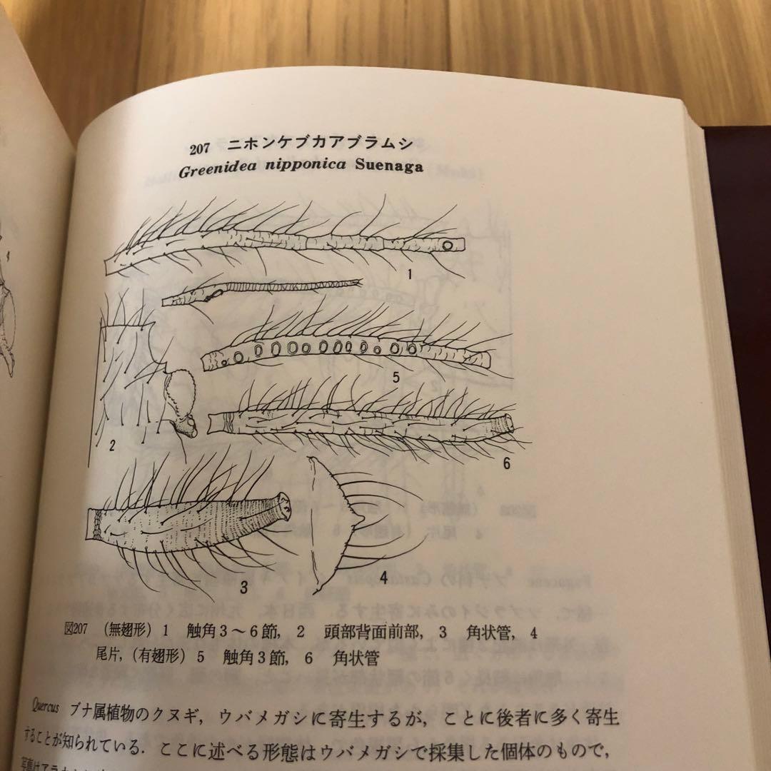 【希少・美品】日本原色アブラムシ図鑑 / 森津孫四郎 / 絶版本