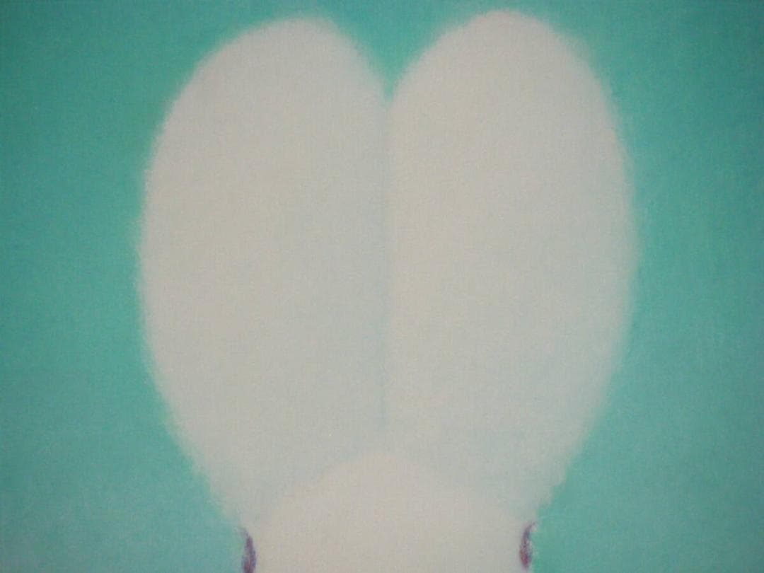 【真作】絵画　渡辺宏　パステル画　ペパーミントの想い　人気画家　名品　T22