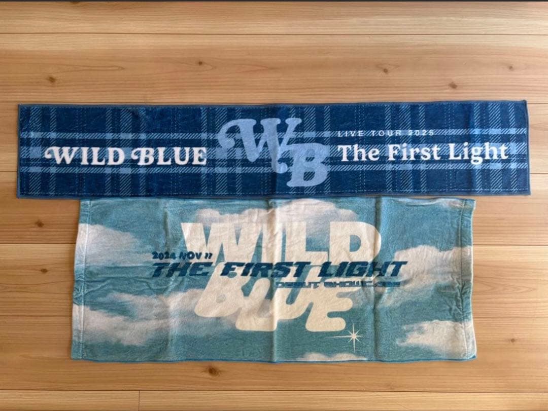 WILDBLUE ペンライト2本セット