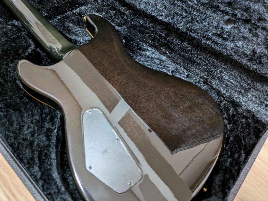 FERNANDES APG 100 24F仕様
