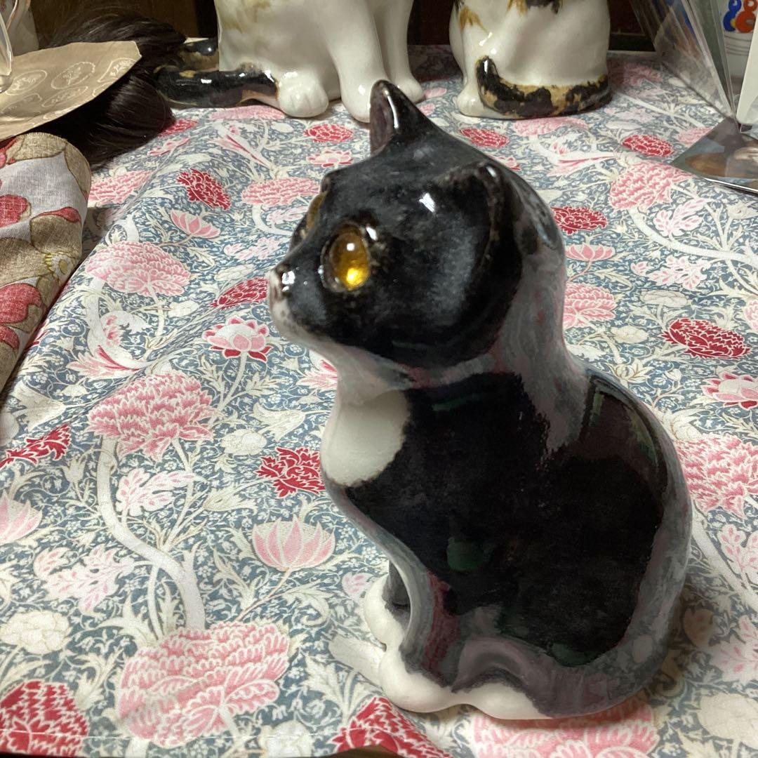 ウィンスタンレイキャット、ケンジントンキャット、お茶目なサイズ1、黒白の貴重な子