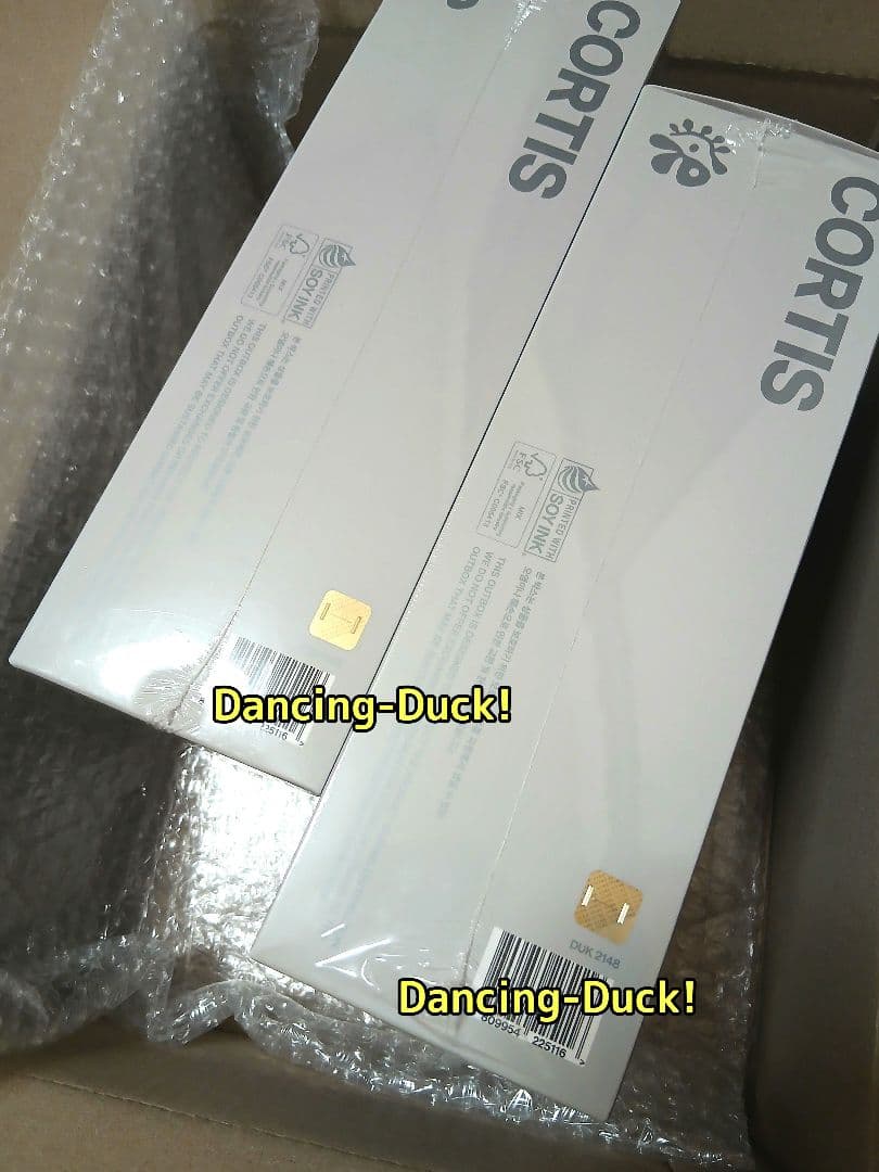 新品未開封 2個 CORTIS 2026 シーグリ