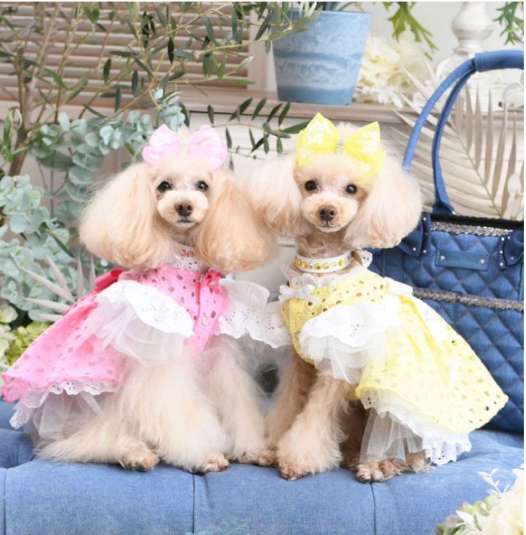 リュクスバーディ　新品　リラワンピー　S イエロー