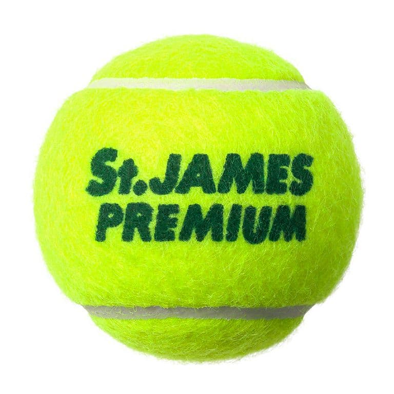 【新品】DUNLOP St.JAMESプレミアムテニスボール4球入り15缶60球
