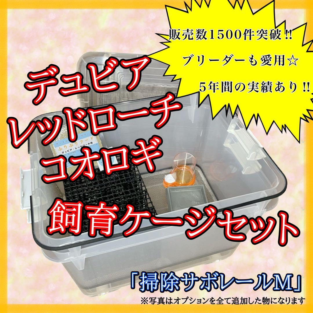 iReiNa様　S(フル)(コ)