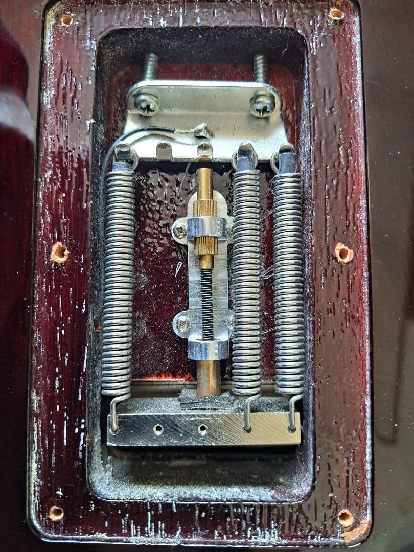 【貴重/生産終了】Washburn PXS10FRDLXWB-D