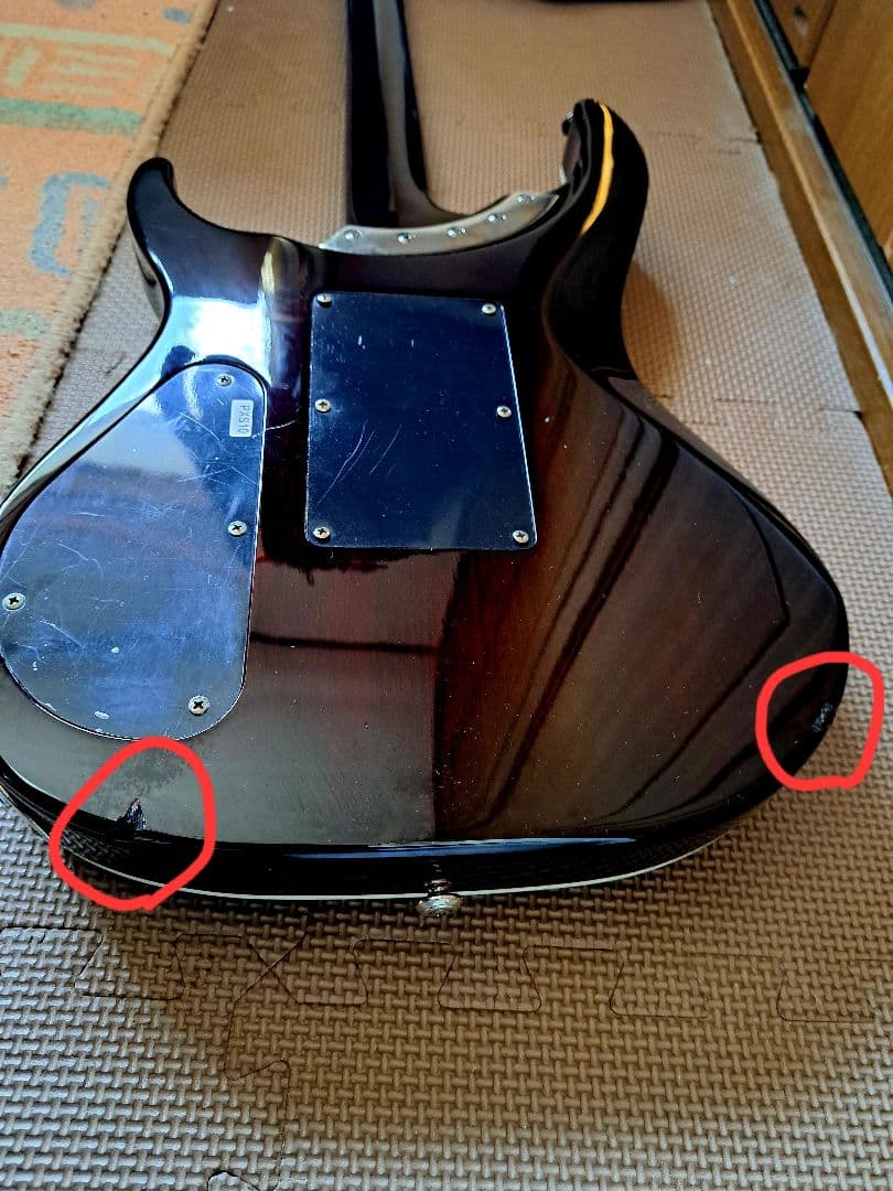 【貴重/生産終了】Washburn PXS10FRDLXWB-D