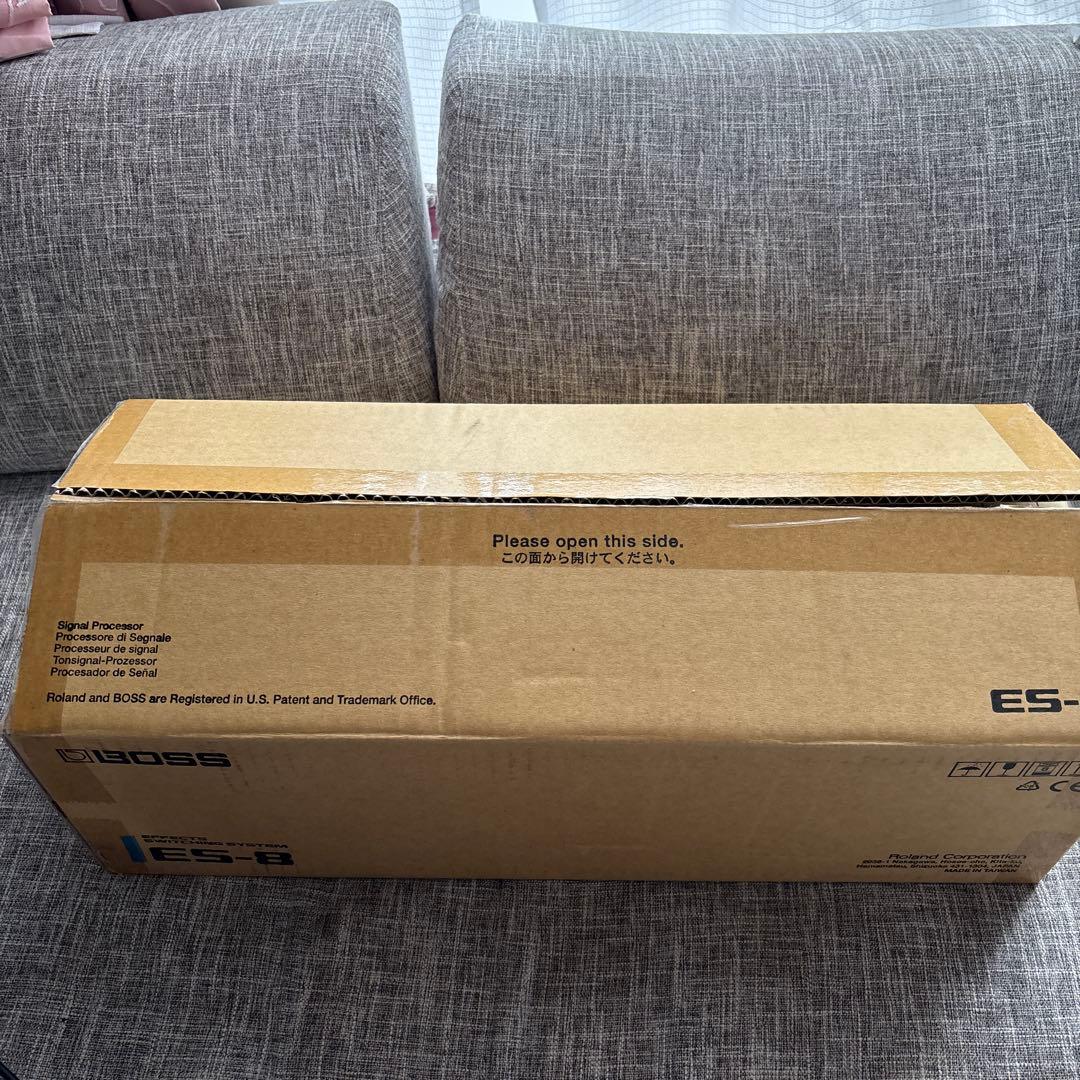 ギター BOSS ES-8
