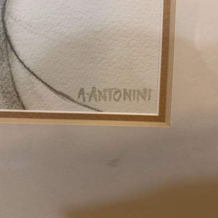 絵 A-ANTONINI アナピア・アントニーニ　水彩画　本と花