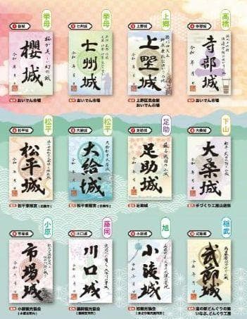 豊田市 限定版 御城印 プロジェクト第５弾 12枚コンプリートセット