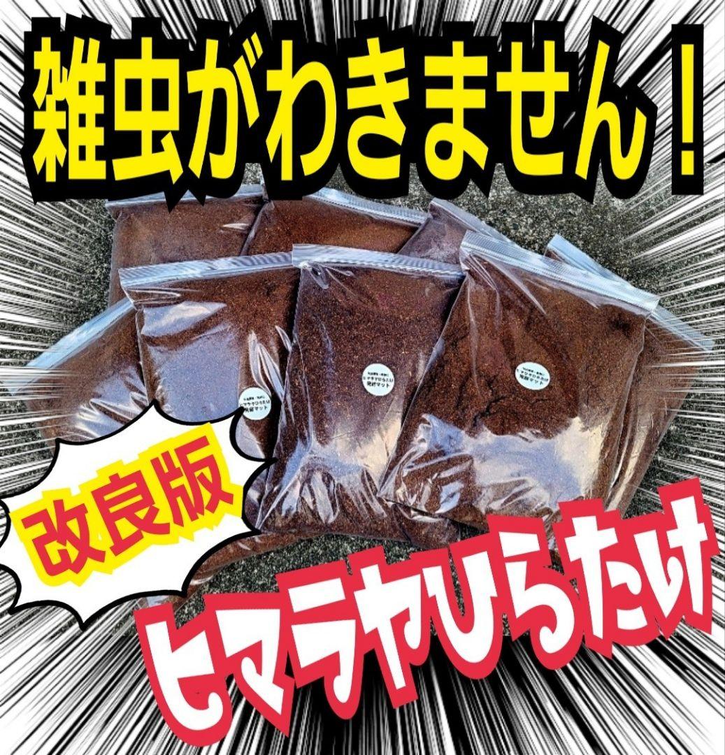 カブトムシ幼虫が大きくなる！産卵にも抜群です！ヒマラヤひらたけ発酵マット【6袋】