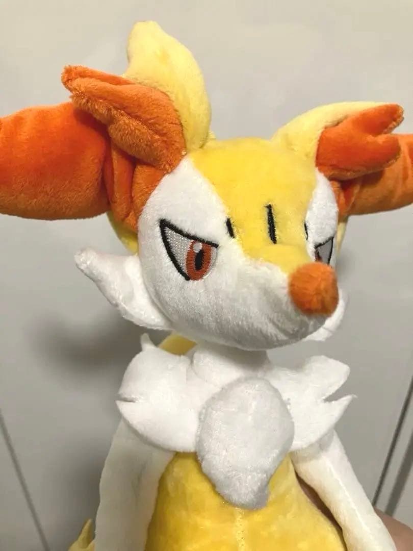 ポケモンセンター ぬいぐるみ テールナー タグ有