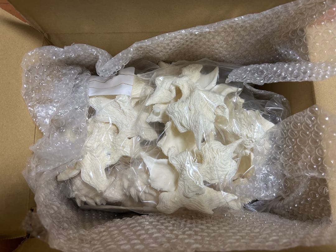 田中ミュージアム工房　アヴァンガメラ 雄々しき守護者　ガレージキット