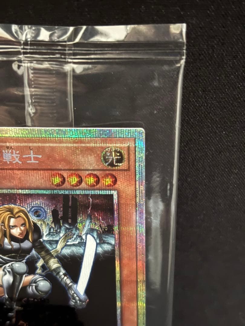 異次元の女戦士 未開封